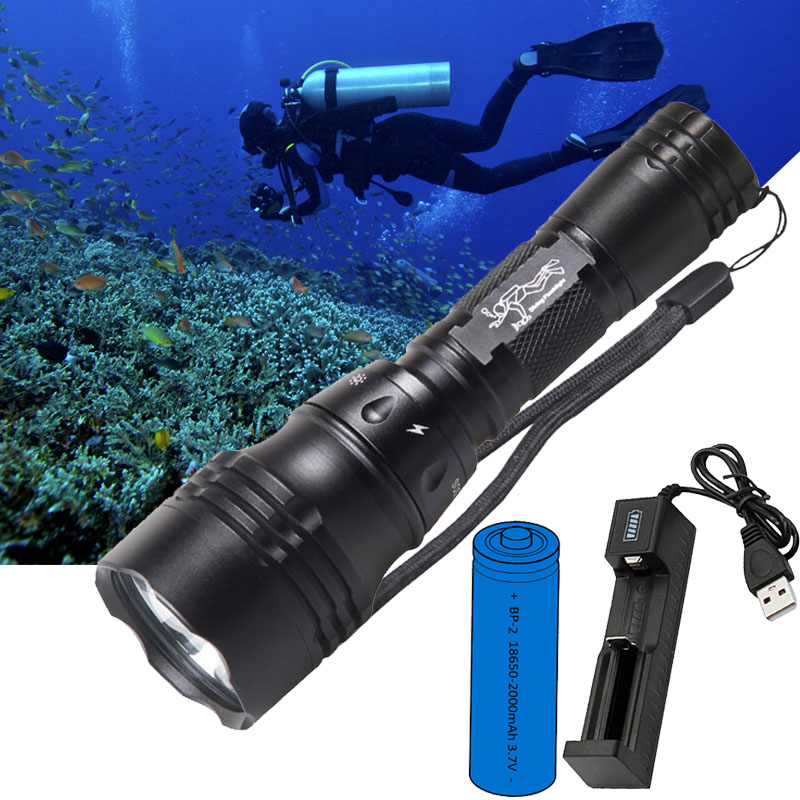 Fish Finder Charger - Przenośna lampa nurkowa 10W T6 L2